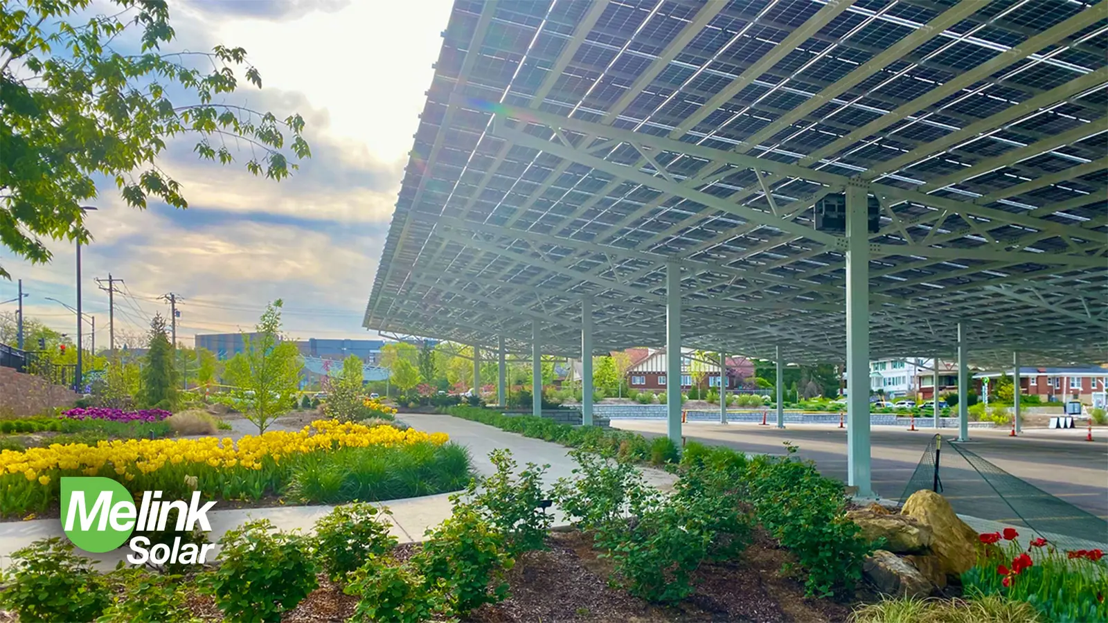Solar Canopy